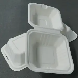 Cellulose Pulp Food Box Disposable Ecological Tableware Takeout Food container