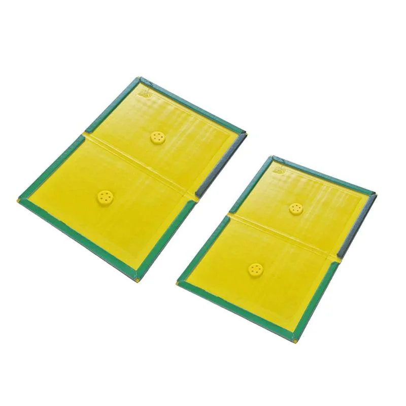 Rat Glue Trap