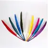 Wholesale decorative easter bleached dyed goose feathers