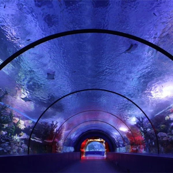 acrylic tunnel in public aquarium of oceanarium