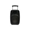 8inch International stage multimedia active professional Wireless trolley speaker