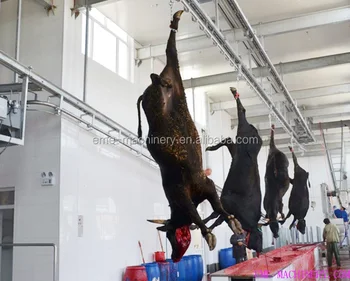 abattoir cattle convey automatic head over rail larger