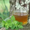 ISO9001 factory supply Melissa Officinalis Extract 10% Rosmarinic Acid Lemon Balm P.E. Rosmarinic Acid