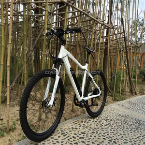 electric racing bike power with throttle control