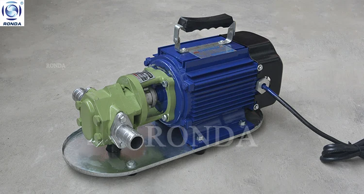 Wcb Ss Ci 110v Oil Transfer Pump Portable Electric Oil Pump Small Gear Pump Buy Gear Pump110v 0481