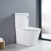 Watermark Approval Back To Wall Toilet Suite