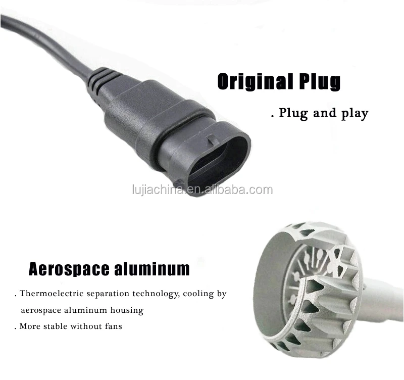 6.webp.jpg