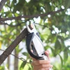 36V Battery Electric branch pruning scissors Fruit pruning hedge shears branch cutter free sample for garden tools garden pruner