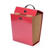 High Value Custom Logo Colorful 19 pocket A4 Expanding File Box