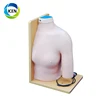 IN-409 Hospital medical human teaching model Shoulder Joint Intracavitary Injection Model
