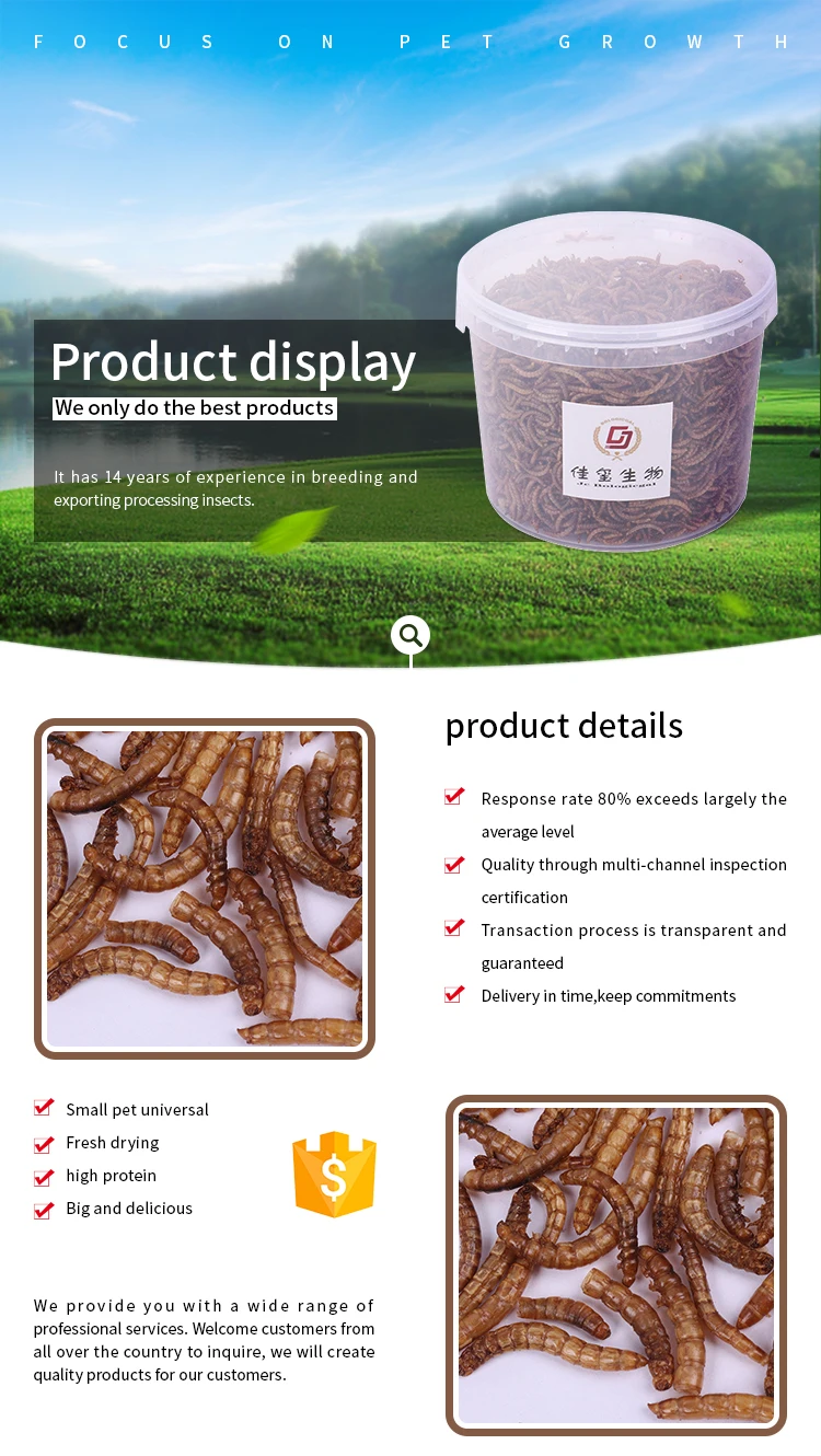High protein best quality microwave dried mealworm animal feed cat food