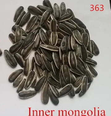 
Sell sunflower seeds 363 with low price 