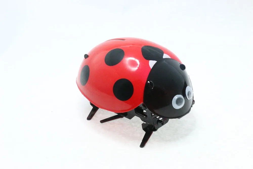 ladybug rc car