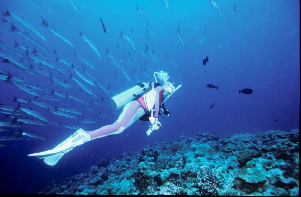 300bar High Pressure Scuba Diving Compressor 100l/min Eclectrical Motor