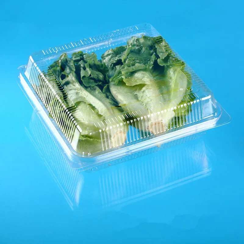 Disposable Plastic Clamshell Lettuce Packaging Buy Pet,Vegetable
