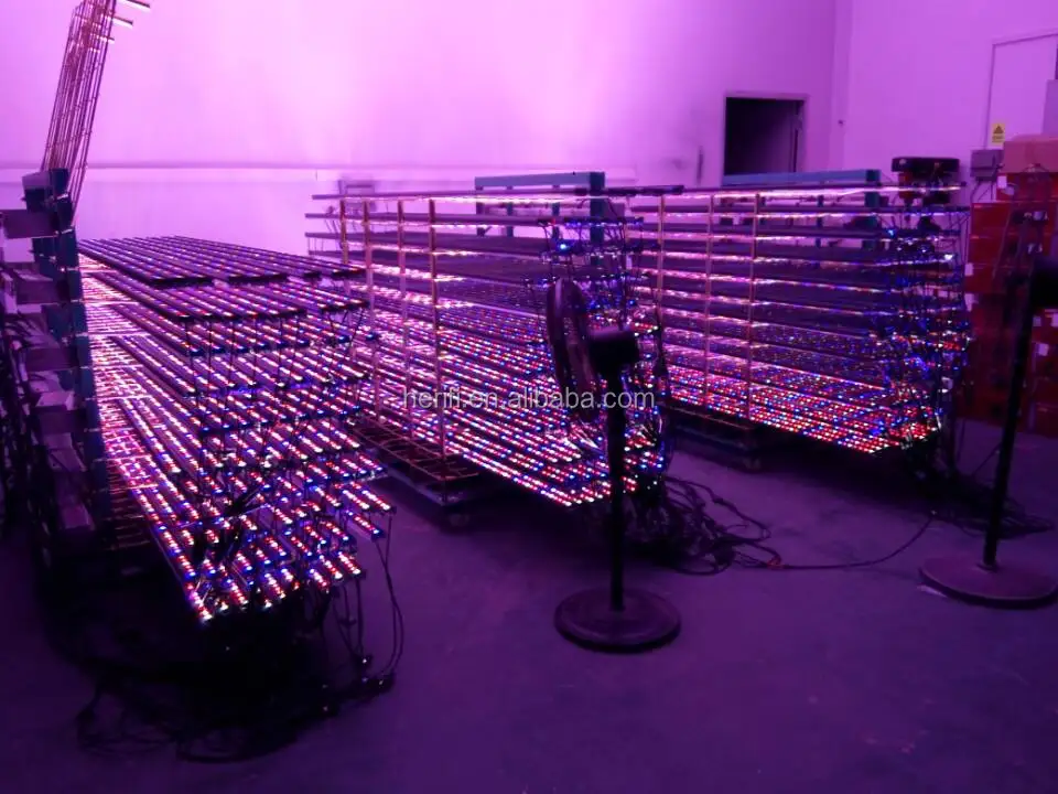 Customized Bar lights.jpg