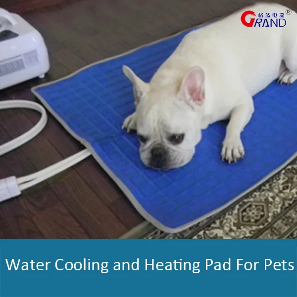 puppy cooling pad