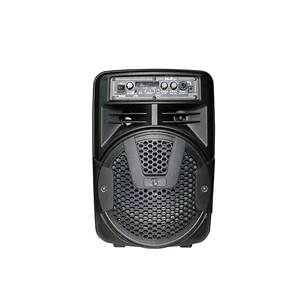 Hoxen 8 Inch Portable Speaker LED Light