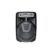 Hoxen 8 Inch Speaker Portable Mini Speaker DJ Speaker System Subwoofer Sound Box With LED Light