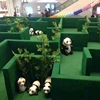 interactive game in other amusement park products artificial green plant maze with metal frame