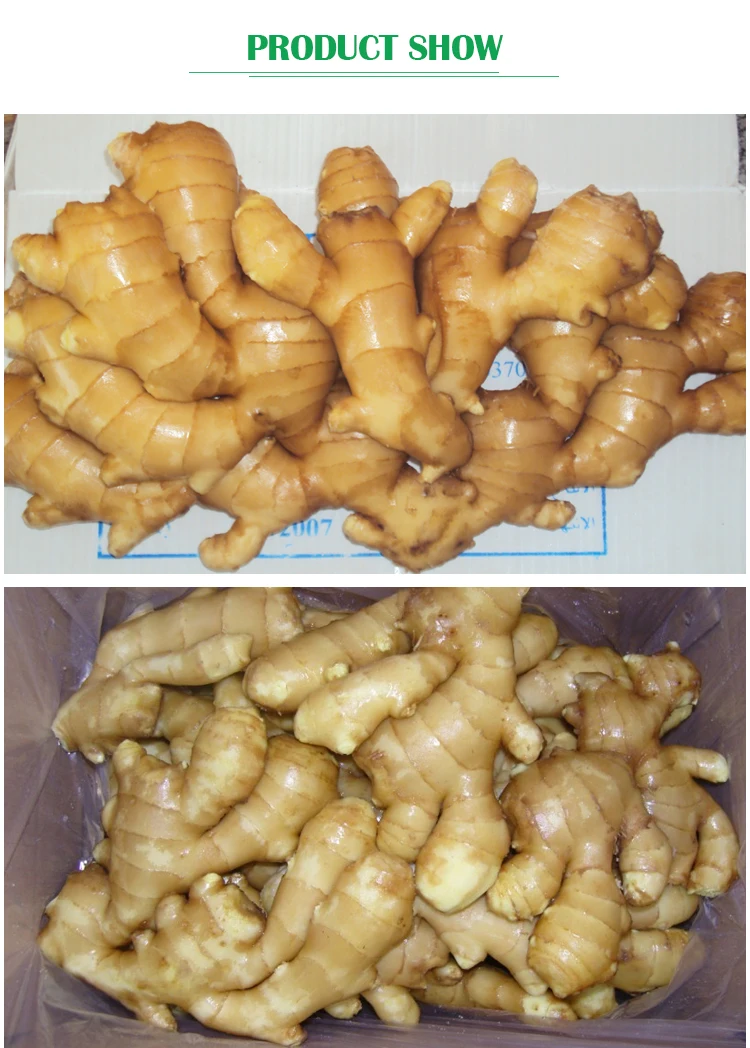 Fresh-ginger_02