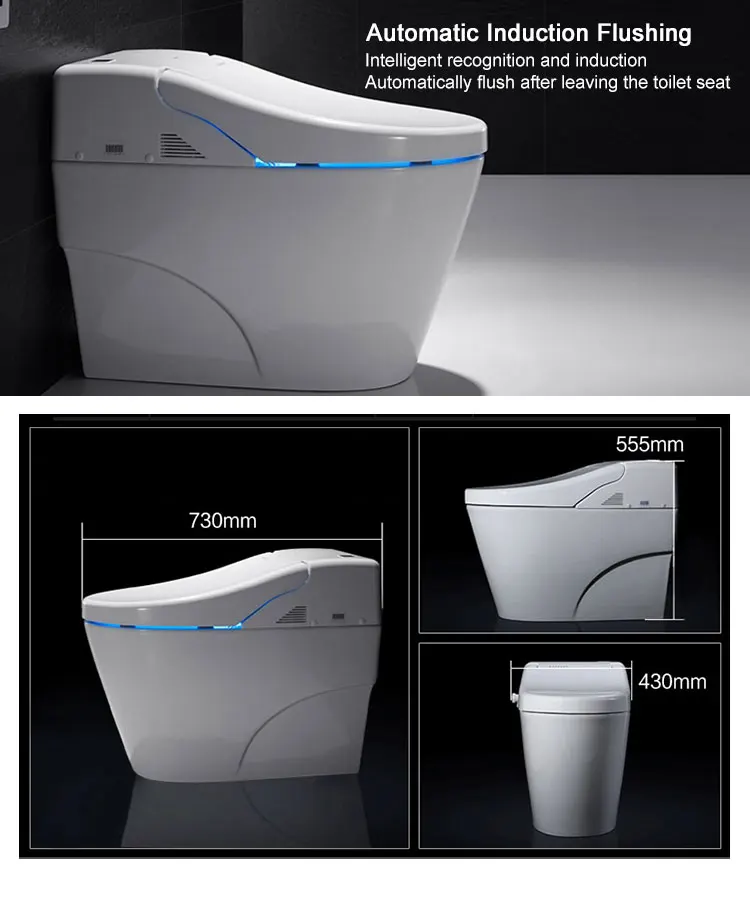 Tự Động Thông Minh Chậu Vệ Sinh Nhà Vệ Sinh Chỗ Ngồi Sưởi Ấm Gốm Một Mảnh Khách Sạn Sinh Thái Nhà Vệ Sinh Với Điều Khiển Từ Xa