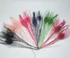 peacock eye feathers