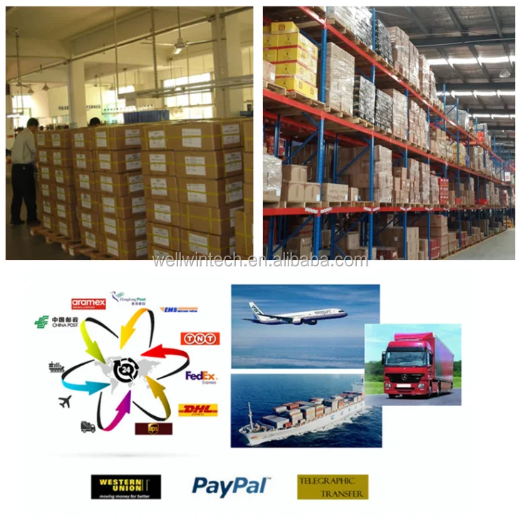 2016 Newest WiFi Endoscope Inspection Camera 2.0 Megapixel HD 720P Waterproof Borescope Inspection Camera