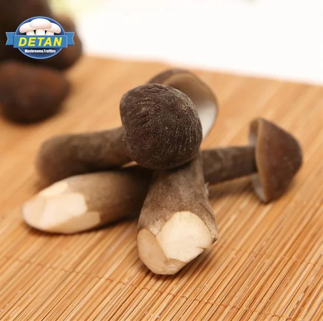 
Detan Black Collybia Albuminosa Mushroom Export 