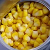 /product-detail/2019-new-crop-canned-sweet-corn-kernel-in-tins-62194697525.html