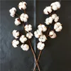 10 Heads And 21 Inches Preserved Cotton Dry Flower White Natural Cotton Boll Stems