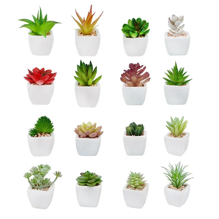

Mini tropical plastic green plants artificial potted succulents plants in white ceramic pots, Many styles