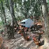chicken nest boxes sale poultry nest hot galvanized nest for laying hen