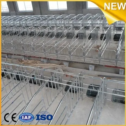 Hot sale automatic piglet feeder