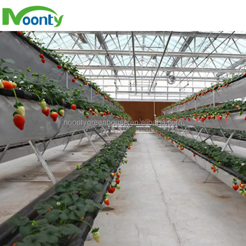 Hydroponics System Vertical Buy Hydroponics System Vertical