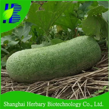 Hybrid Ash Gourd Seeds,Gourd Melon Seeds,Chinese Watermelon Seeds ...