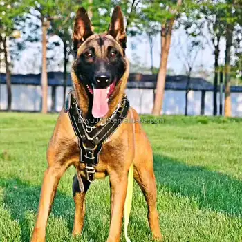 Militer Layanan Kustom Kulit Anjing Besar Harness Rompi Buy