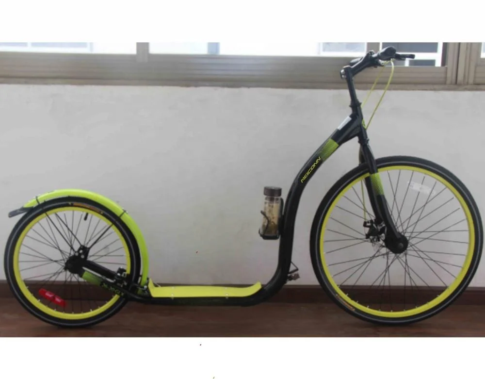 

Fashionable Adult Kick Scooter/dog Scooterr/kick bike(SY-SC2620012), Customized color
