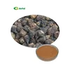 Natural Promote Sexual Function Maca Root Extarct Powder Free Sample For Maca Root Extract