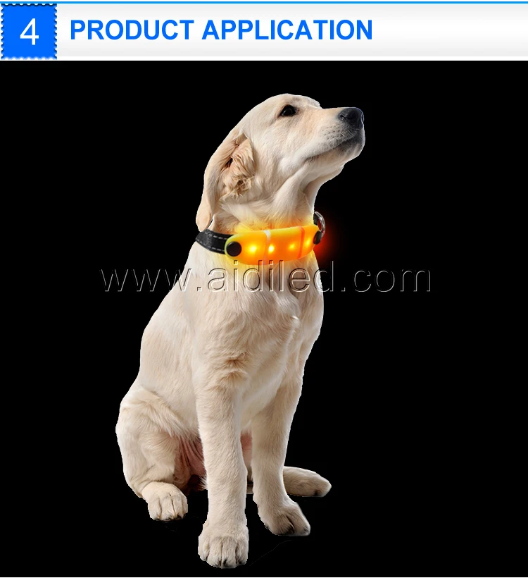 DC023 Wholesale Nylon Webbing LED Small Dog Charms Collar