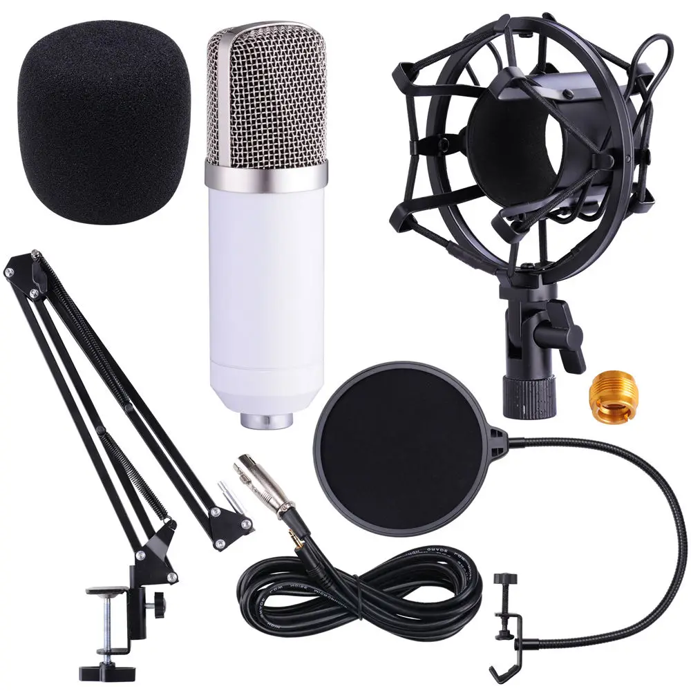 

BM700 Recording Dynamic Condenser Microphone with Shock Mount With Scissor Stand Pop Filter, Black