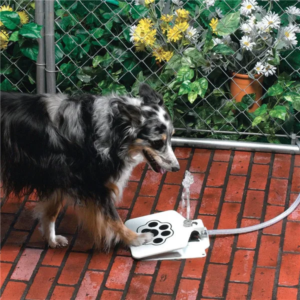Pet-tech dog vibration and shock collar dog rechargeable and waterproof trainer with switch on/off and USB charge port