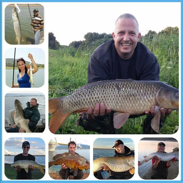 customer feedback show.jpg