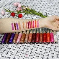 

Wholesale Good Quality Private Label Moisture Glitter Lipgloss Make Your Own Make Up Clear Lip Gloss