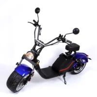 

Sunnytimes Manufacture Two Wheels Electric Scooter 1500w Citycoco 2018 For Adult 60V motorcycle scooter