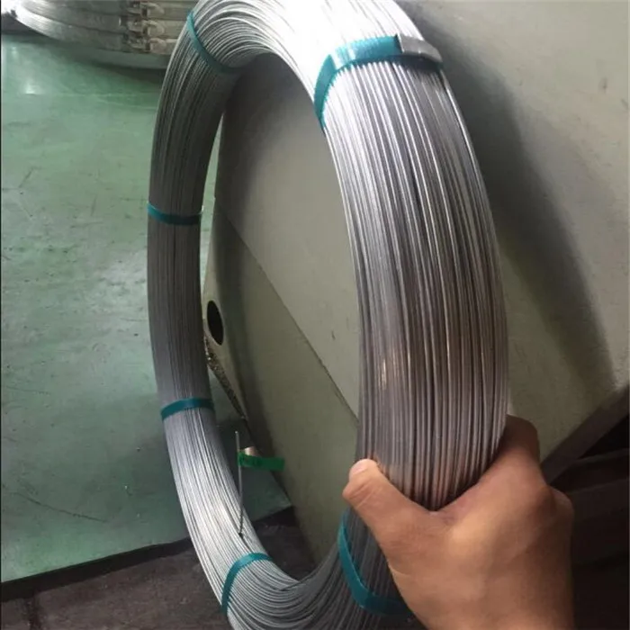 oval wire 4.jpg