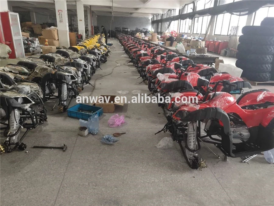 Hot Sale 150cc/200cc/250cc Adults Gasoline Quad Bike ATV