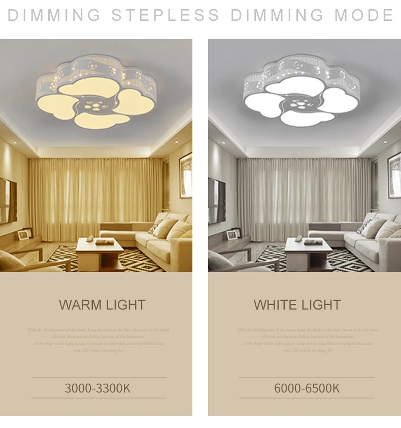 Wholesale Vintage Ceiling Light Surface Mounted Led Ceiling Lamps Warm White Energy Saving Cold White Changeable Metal
