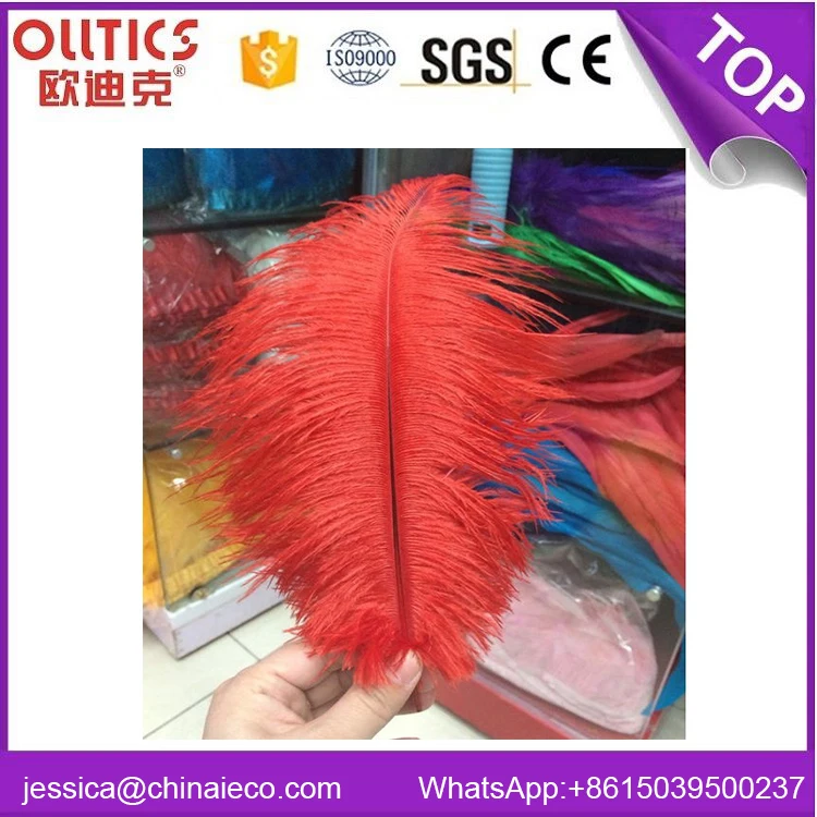 Avestruz rojo carnaval