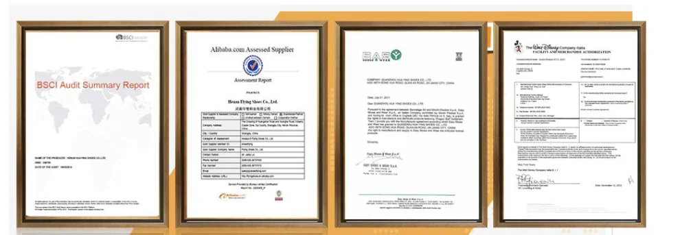 Certificiate of the company